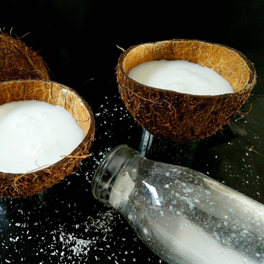 Lait végétal maison en cinq minutes de mail0ves - MailoFaitMaison