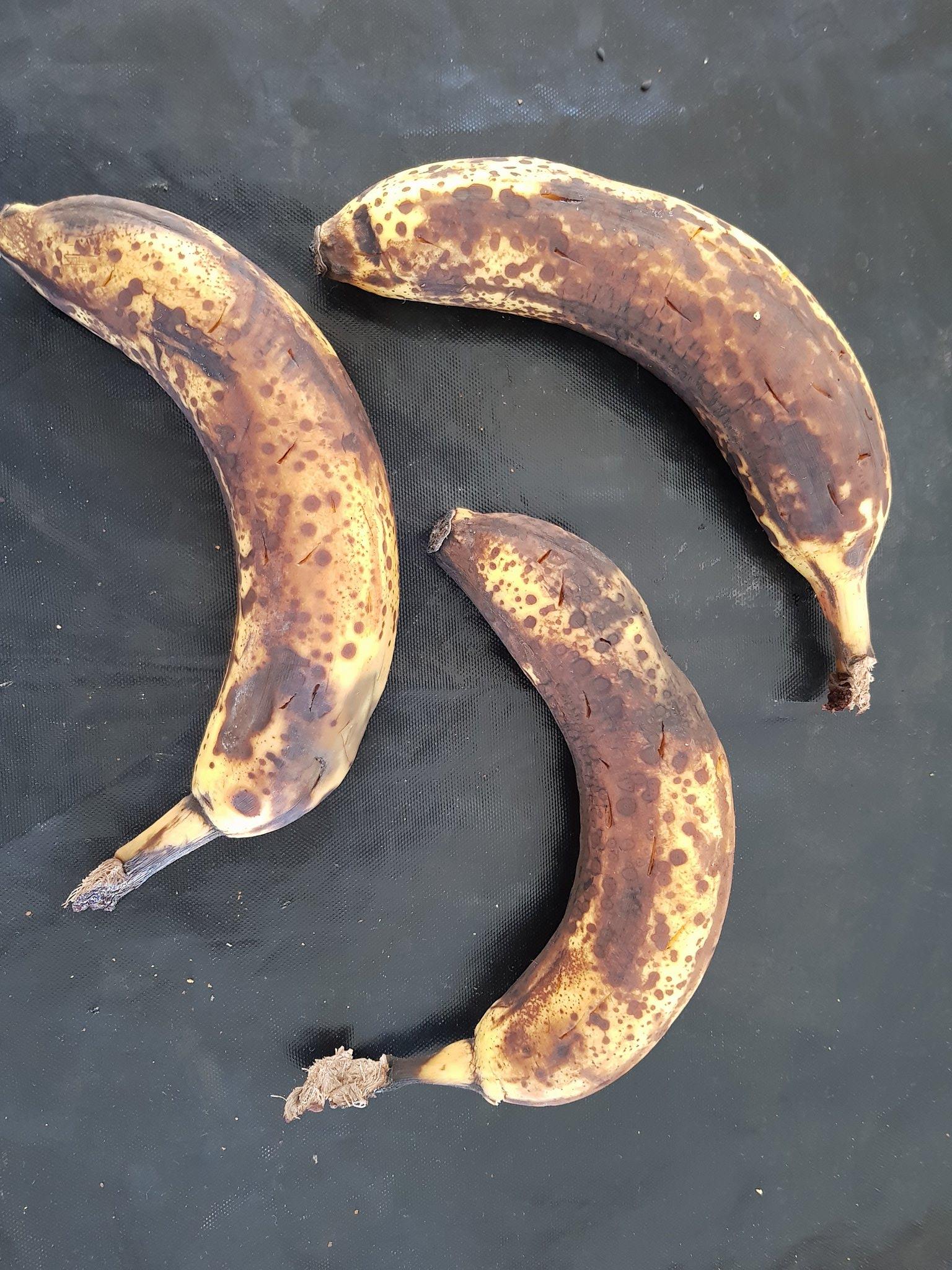 Faites cuire vos bananes préalablement perforées à l'aide d'un couteau