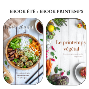 Ebook Eté + Ebook Printemps by Jaily
