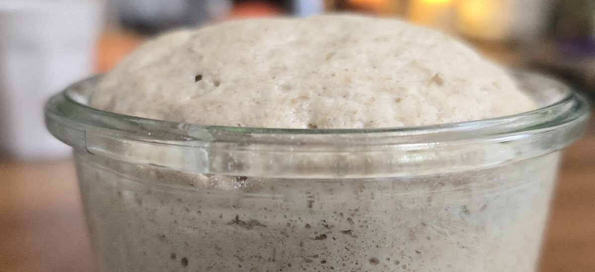 Comment faire un levain maison sans gaspillage (méthode facile au seigle, actif en 7 jours)