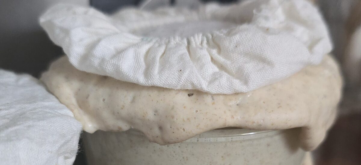 Comment entretenir son levain maison sans gaspillage (méthode simple, 1 fois par semaine)